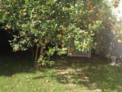 Casa em condomínio para Venda em Jundiaí - 5